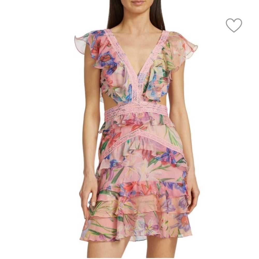 PatBo Iris Floral Ruffle Minidress